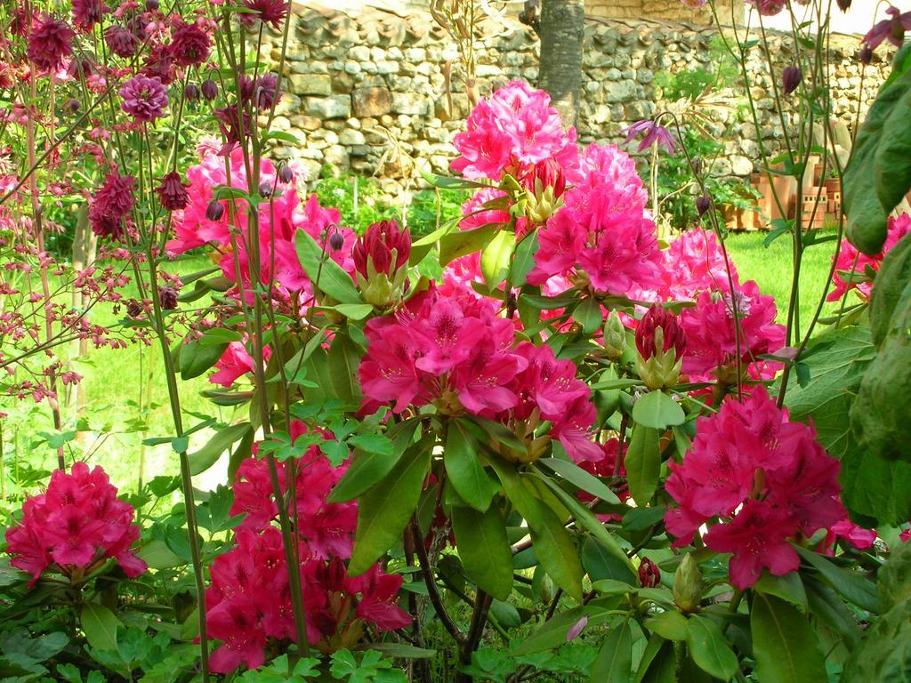 Bed and Breakfast Le Logis Du Four Soudan  Экстерьер фото